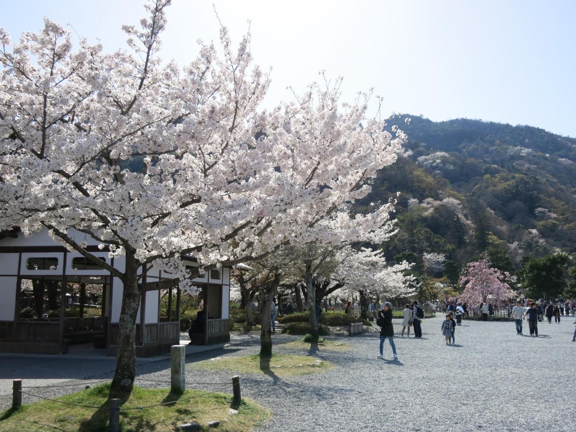 Aparthotel The Grandwest Arashiyama Kjóto Exteriér fotografie