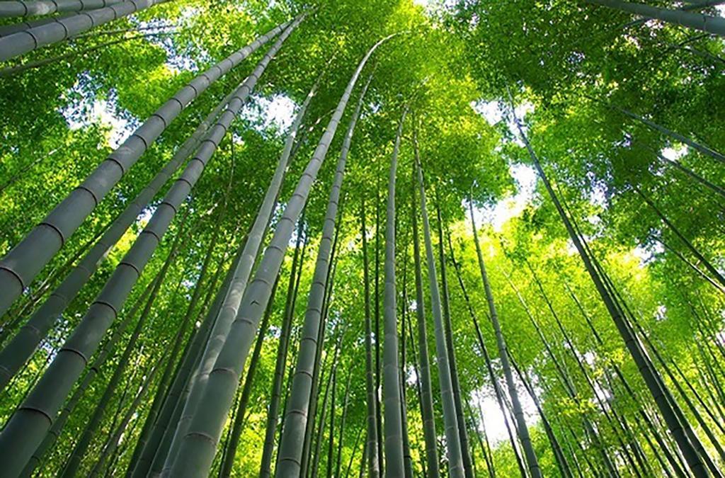 Aparthotel The Grandwest Arashiyama Kjóto Exteriér fotografie